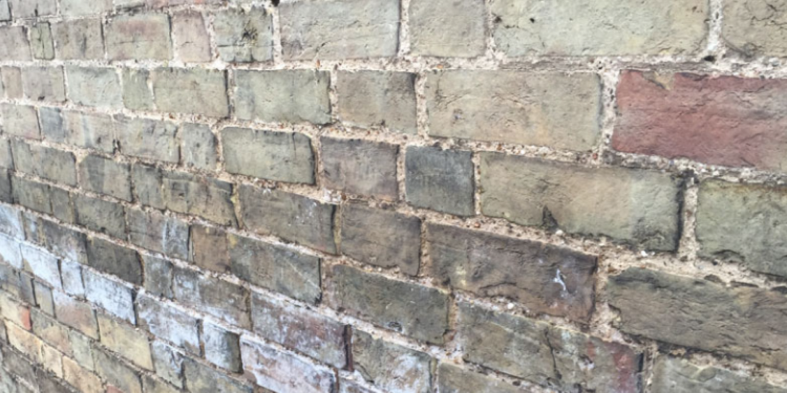 What Devalues a House in a Survey?